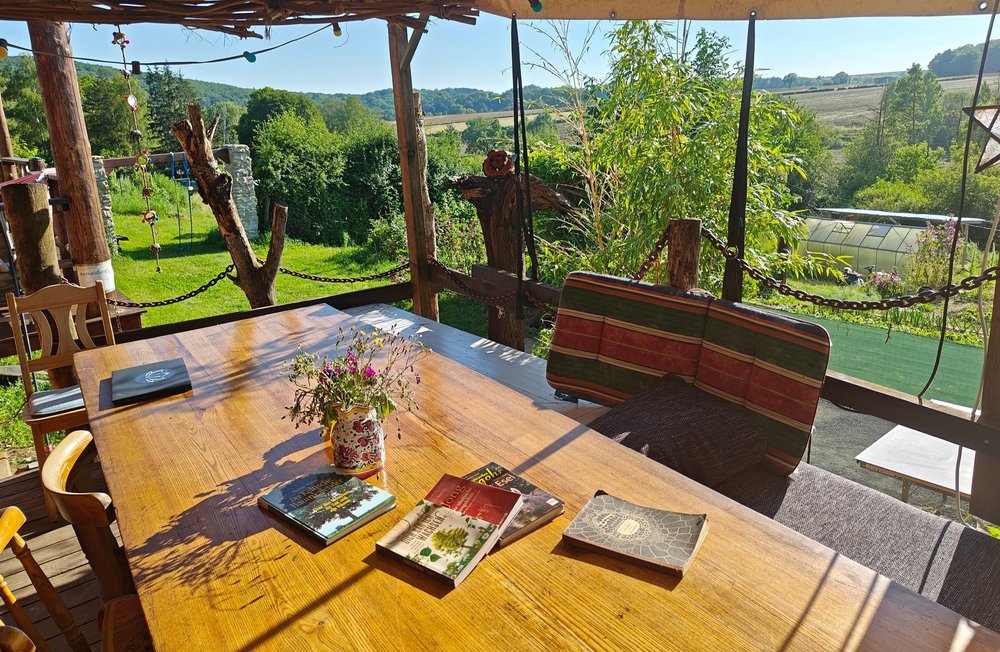 Überdachte Holzterrasse mit Tisch, Blumen und Büchern, Blick über die Felder.